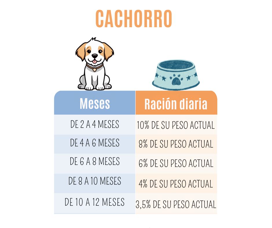 calcula su menú- tabla de cachorros