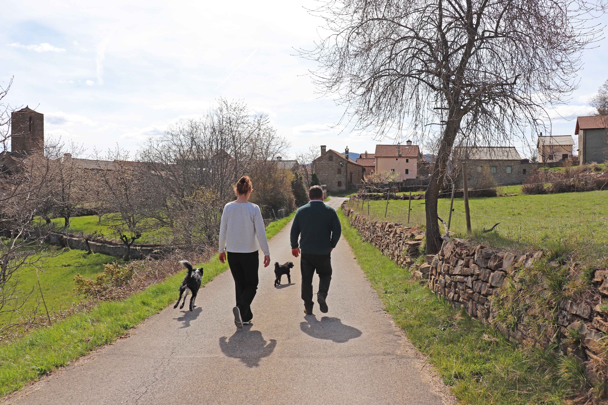 Fotografía para describir el apartado de quiénes somos de dos personas paseando con dos perros por la naturaleza.